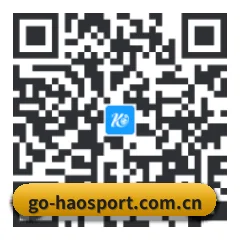 iOS 苹果版 二维码